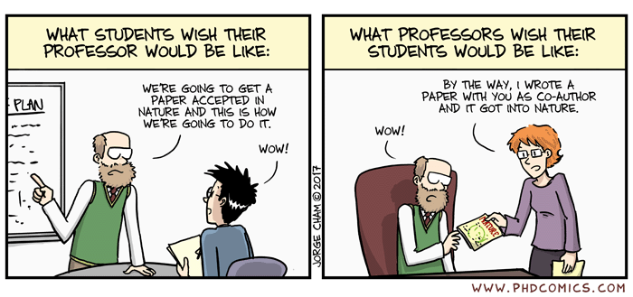 Image result for professors vs phd student
