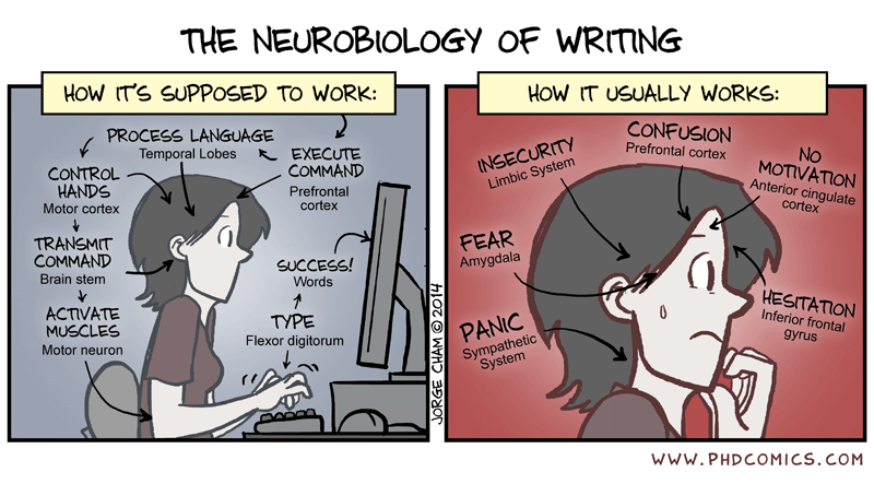 The neurobiology of writing. Comic from http://www.phdcomics.com/comics.php?f=1734