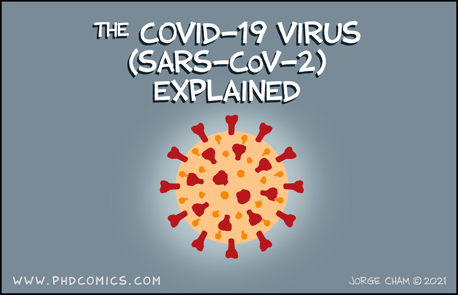 The COVID-19 (SARS-COV-2) Virus Explained